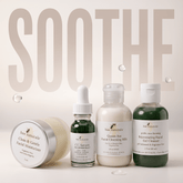 Bee Gentle Essential Skin Care System