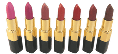 Bee Naturals Luxury Lipstick Premium Collections - Bee Naturals