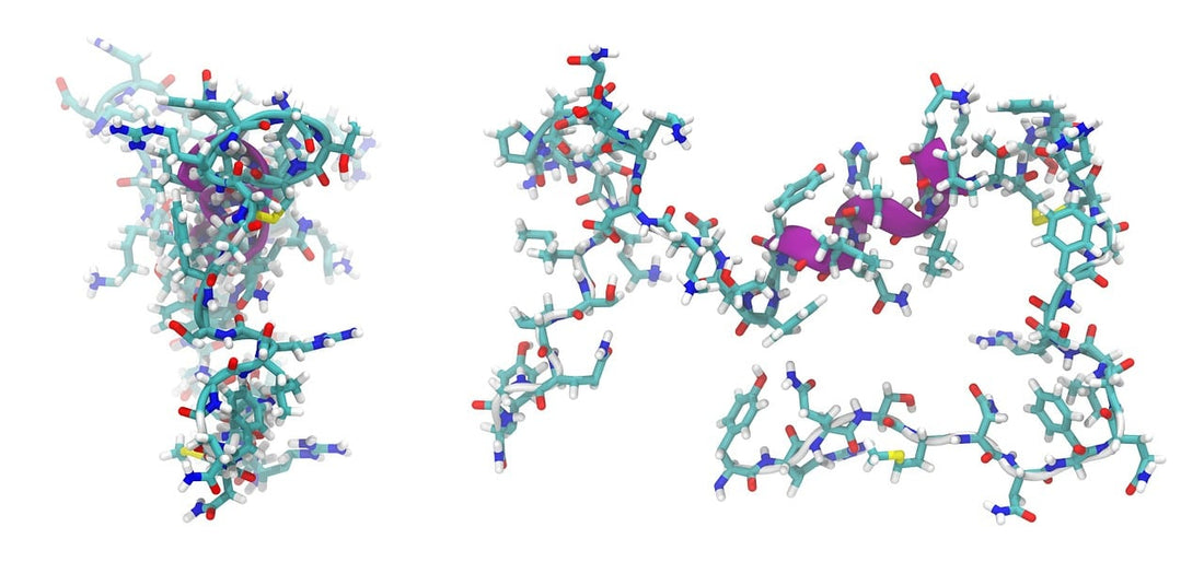 Understanding Peptides In Skincare