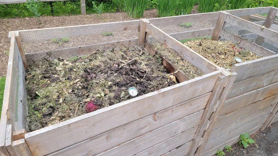Top Tips for Earth Day Composting and Soil Conservation - Bee Naturals