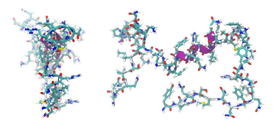 Understanding Peptides In Skincare - Bee Naturals