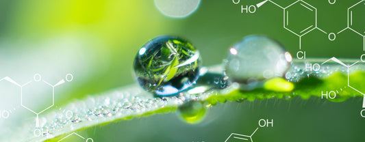 What Is Green Chemistry? - Bee Naturals