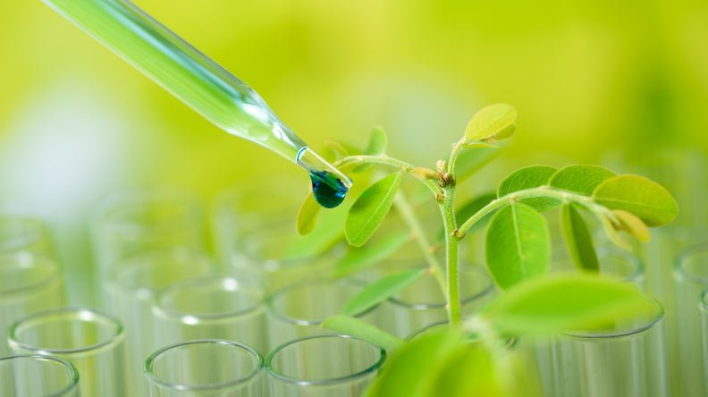 Household & Environmental - Bee Naturals 