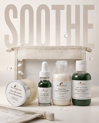 Bee Gentle Essential Skin Care System