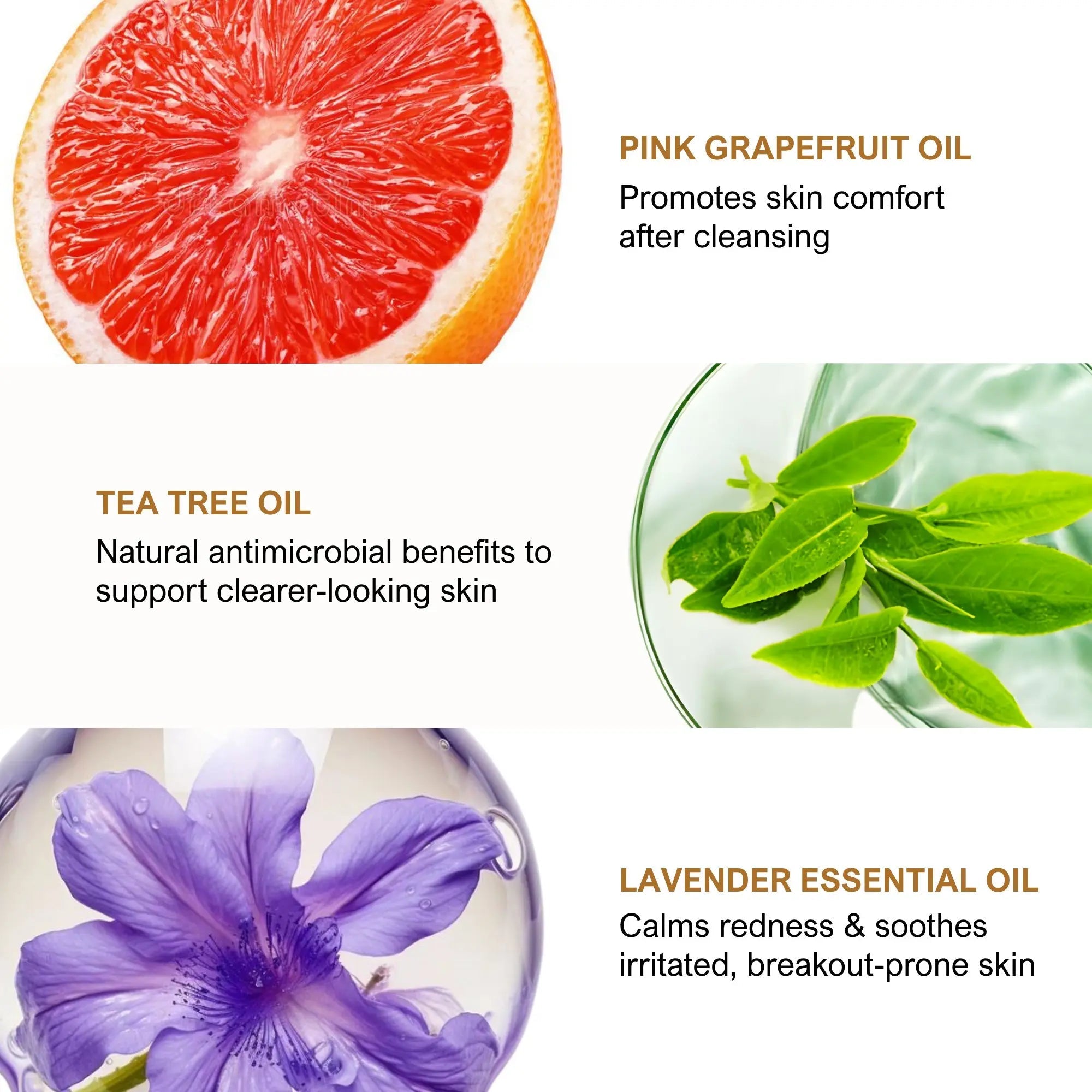 Foaming Face Wash Best for Oily Skin