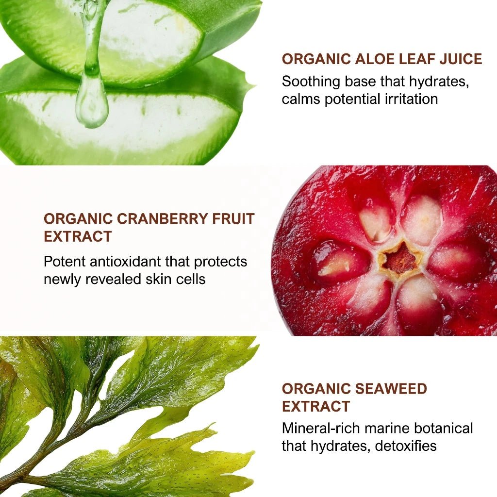 Fruit Acid AHA/BHA Exfoliating Crème