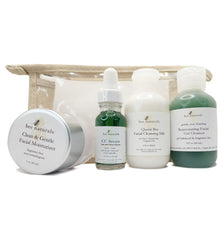 Bee Gentle Essential Skin Care System - Bee Naturals Store