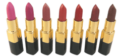 Luxury Lipstick - Bee Naturals Store